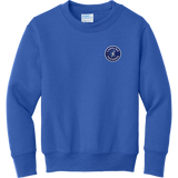 Carolina Thunder Youth Core Fleece Crewneck Sweatshirt